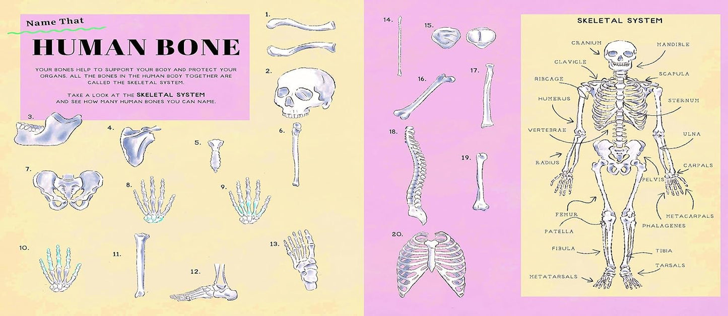 Name That Thing: Stretch your Brain Power with 20 Picture Quizzes
