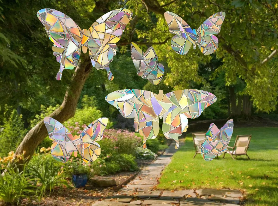 Butterfly Shape Suncatcher Pack