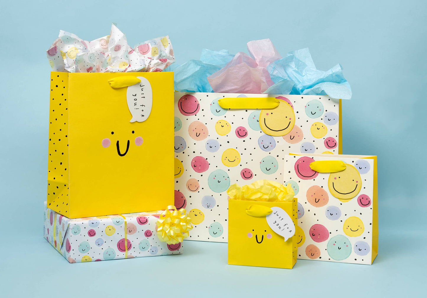 Bag Shopper Landscape Giggle Happy Face