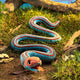 Folkmanis Puppets - San Francisco Garter Snake