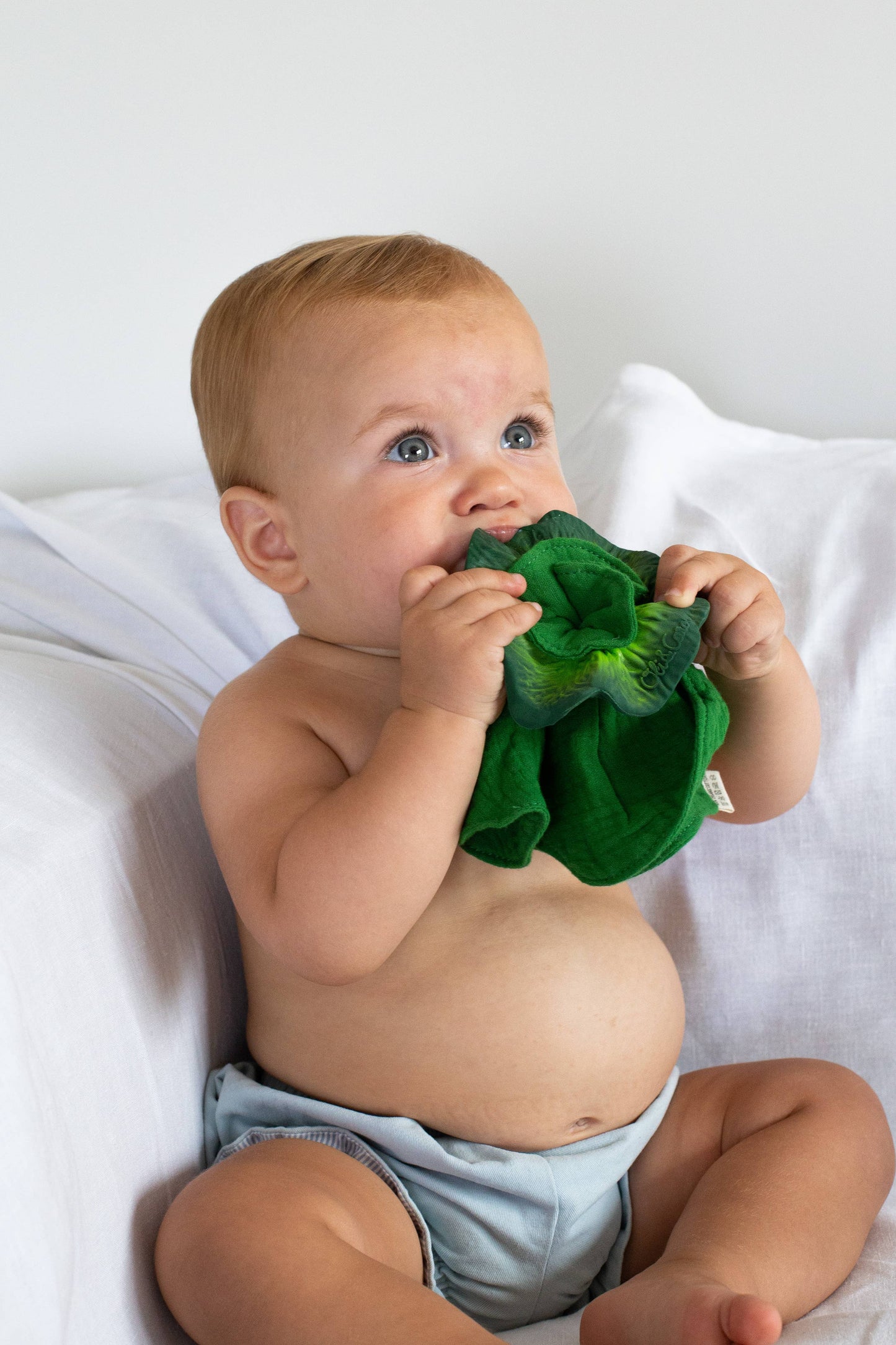 Oli & Carol Kendall the Kale Mini DouDou Teether