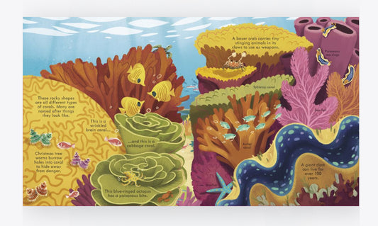 Look Inside Sea and Oceans