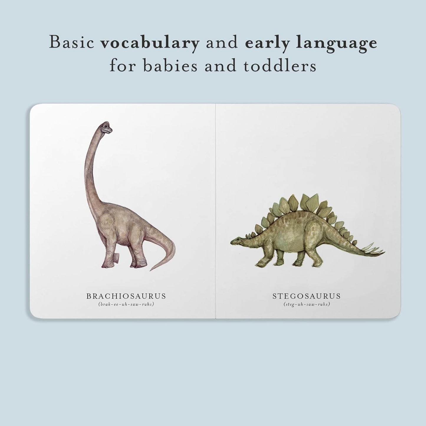 Our Little Library Vol. 3: Dinosaurs, Space, Tools, Bugs, and Sports Board Book