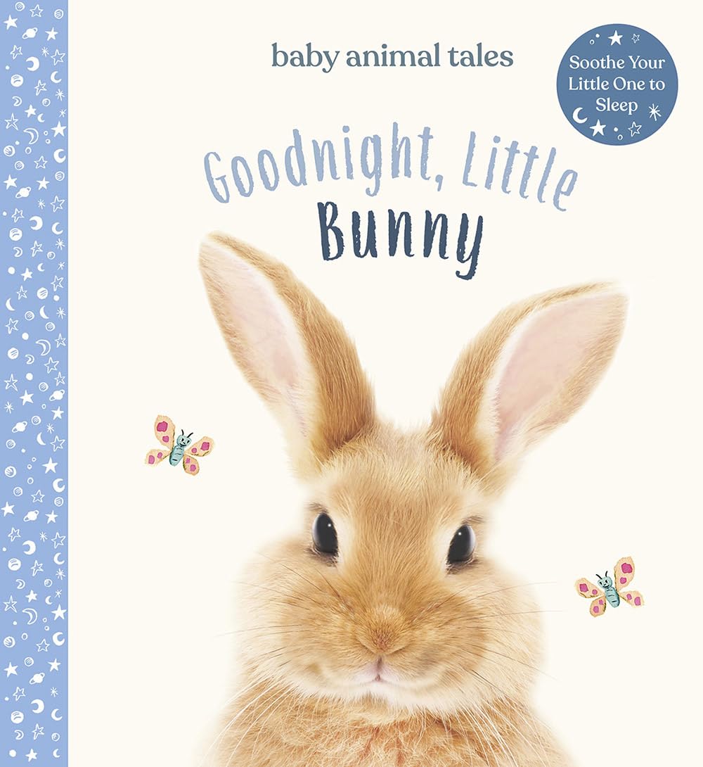 Goodnight, Little Bunny - Board Book