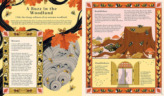 Woodlore Discover the Seasons and Stories of the Forest