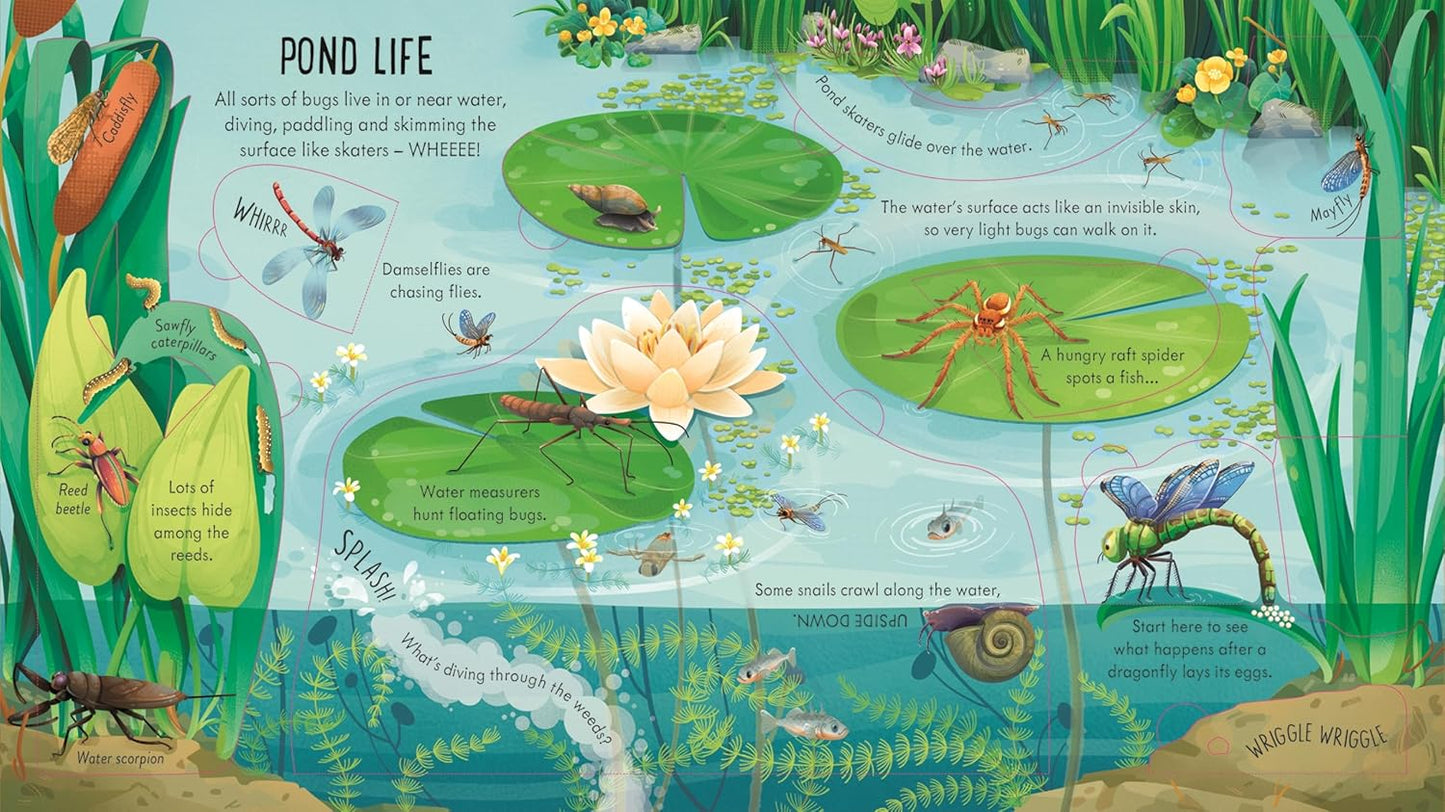 Look Inside Bug World
