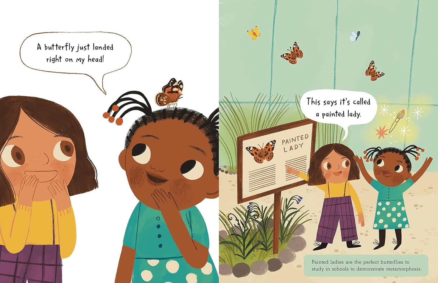 The Story of a Butterfly Learn about the life cycle and habitat of the Painted Lady