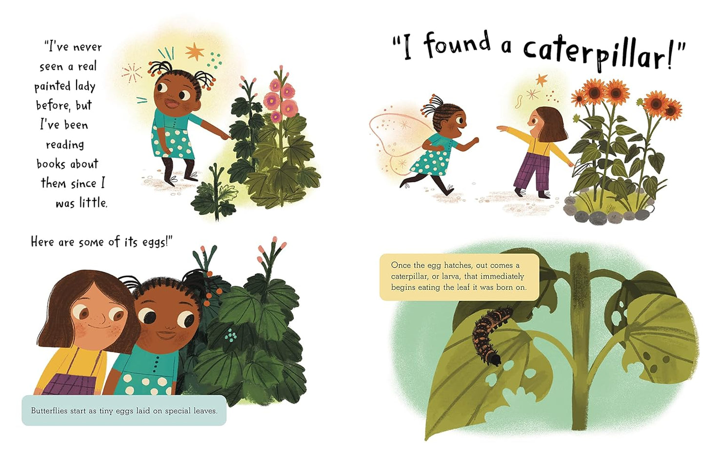 The Story of a Butterfly Learn about the life cycle and habitat of the Painted Lady