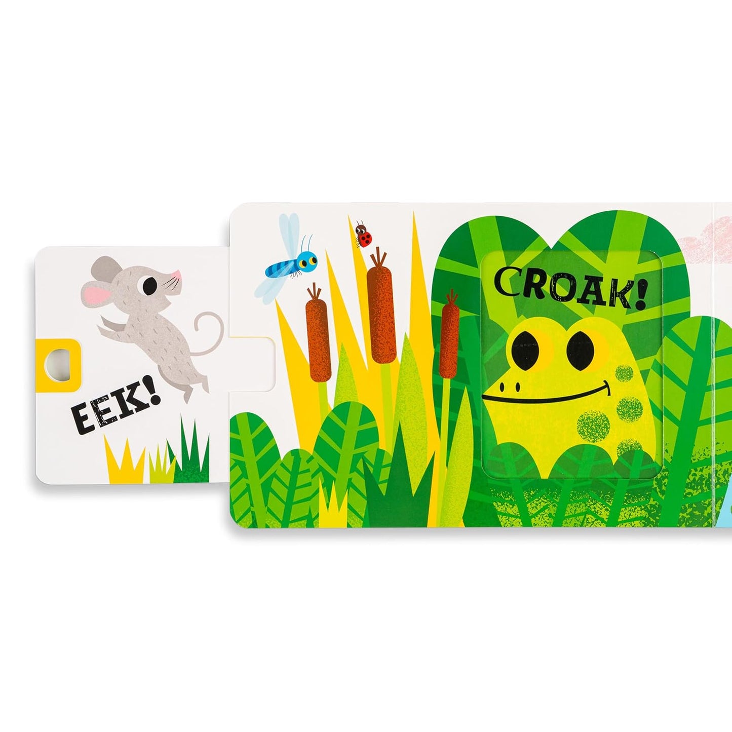 Squeak! Board book