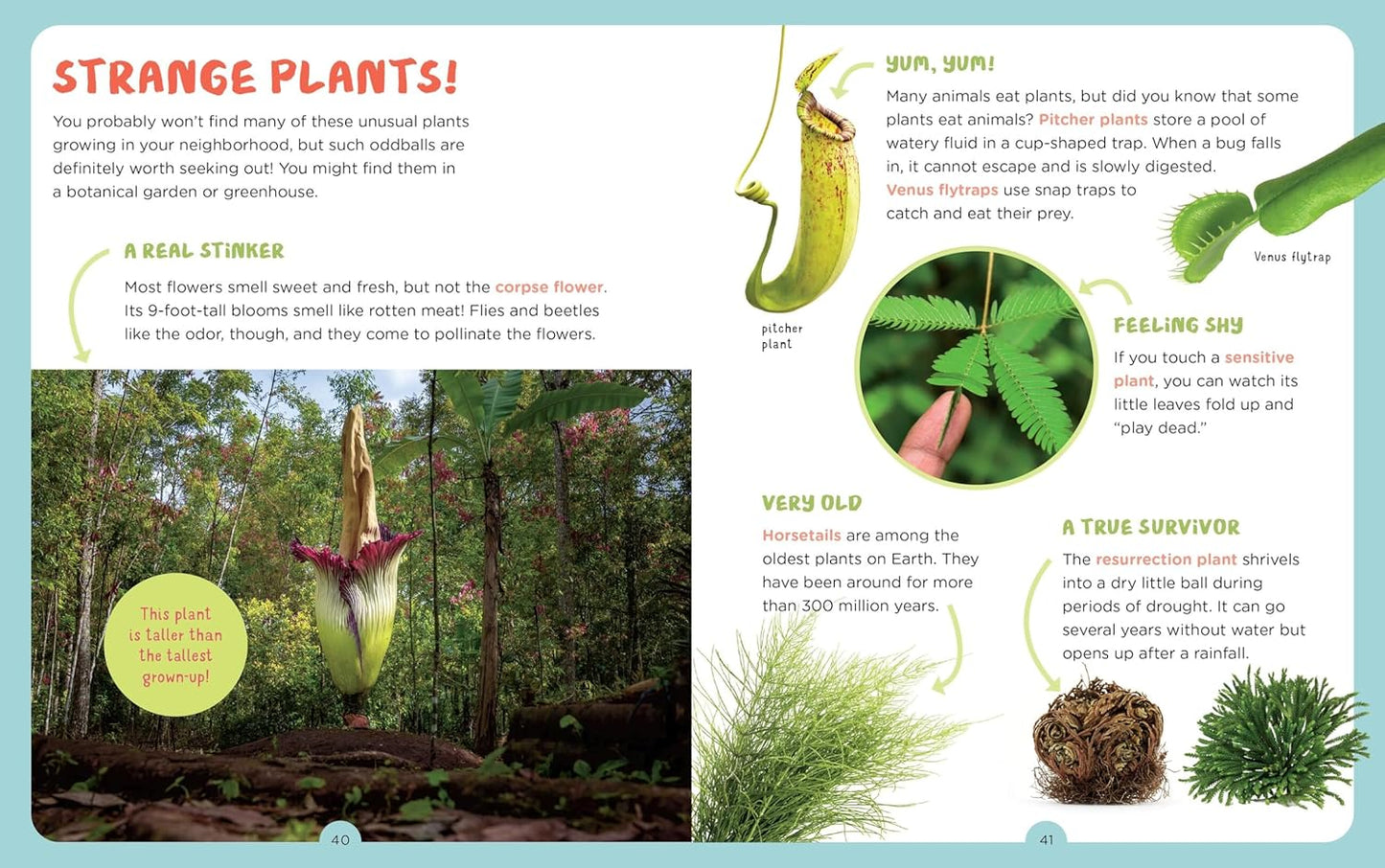 Backpack Explorer Discovering Plants and Flowers: What Will You Find?