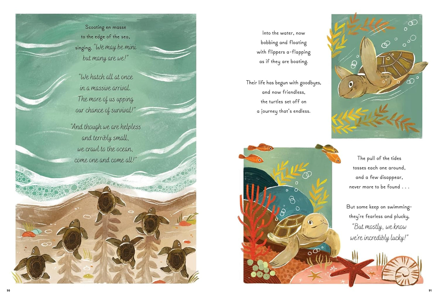 5 Minute Ocean Stories