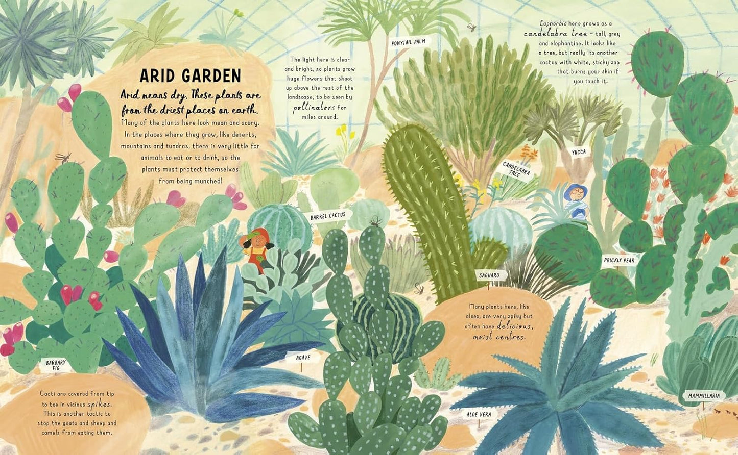 How to Grow a Garden