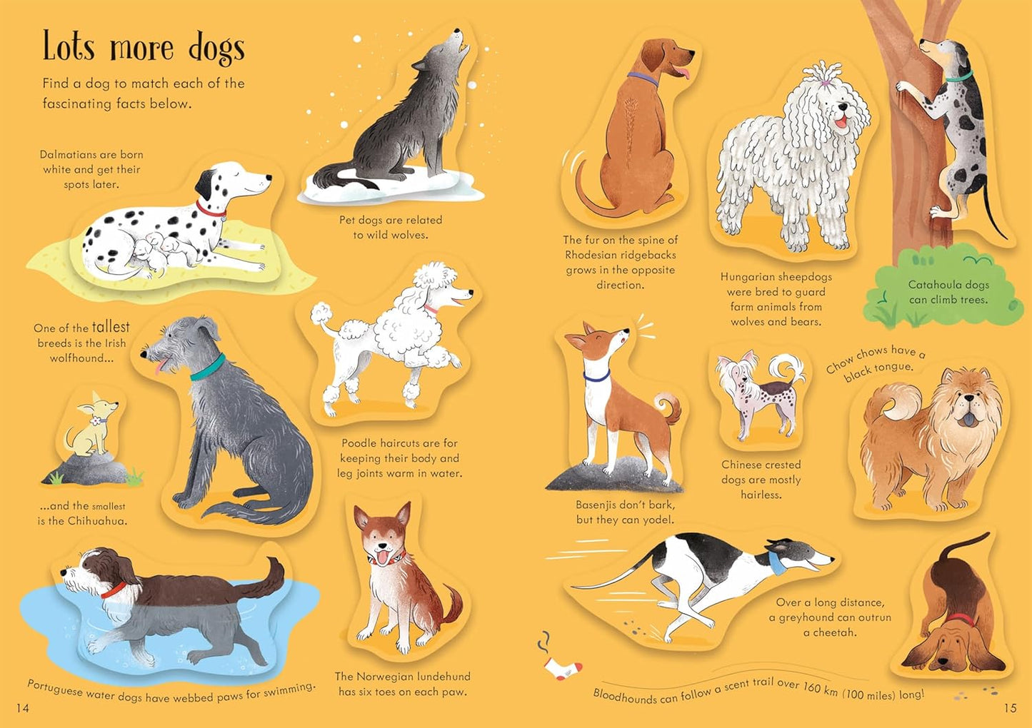 Little First Stickers Dogs and Puppies