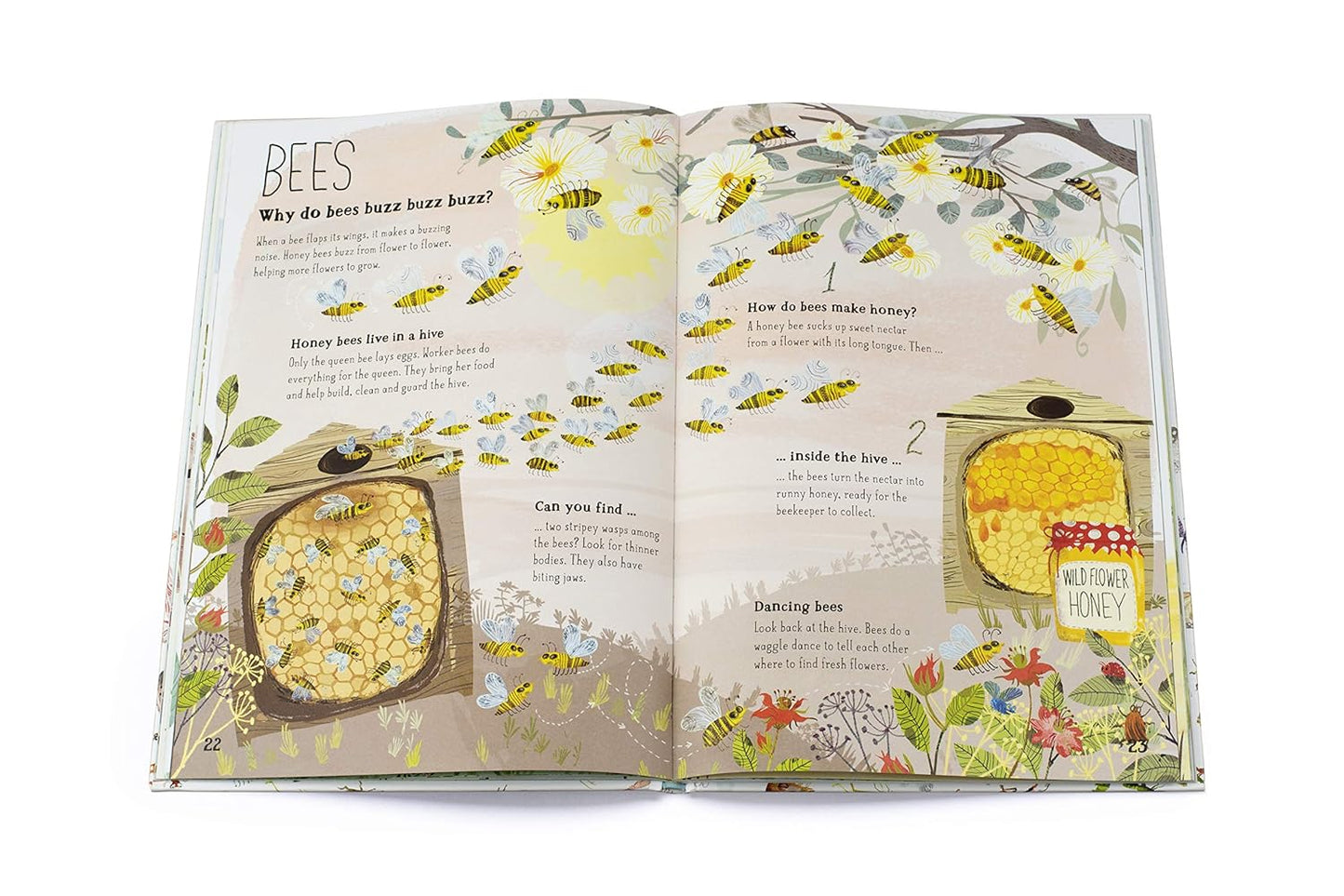 The Big Book of Bugs