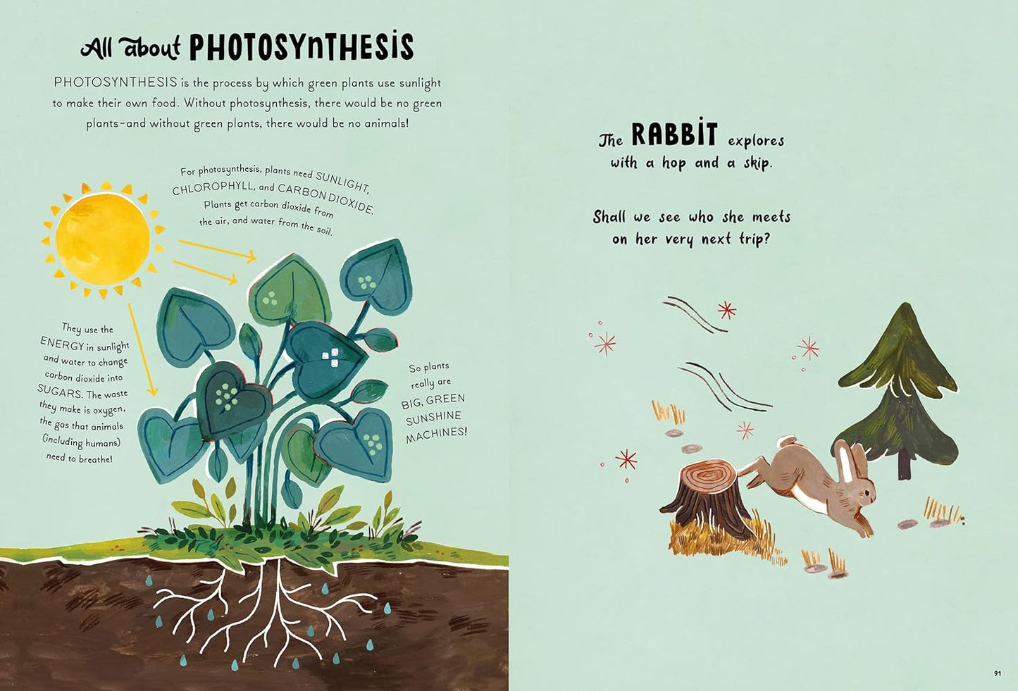 5 Minute Nature Stories