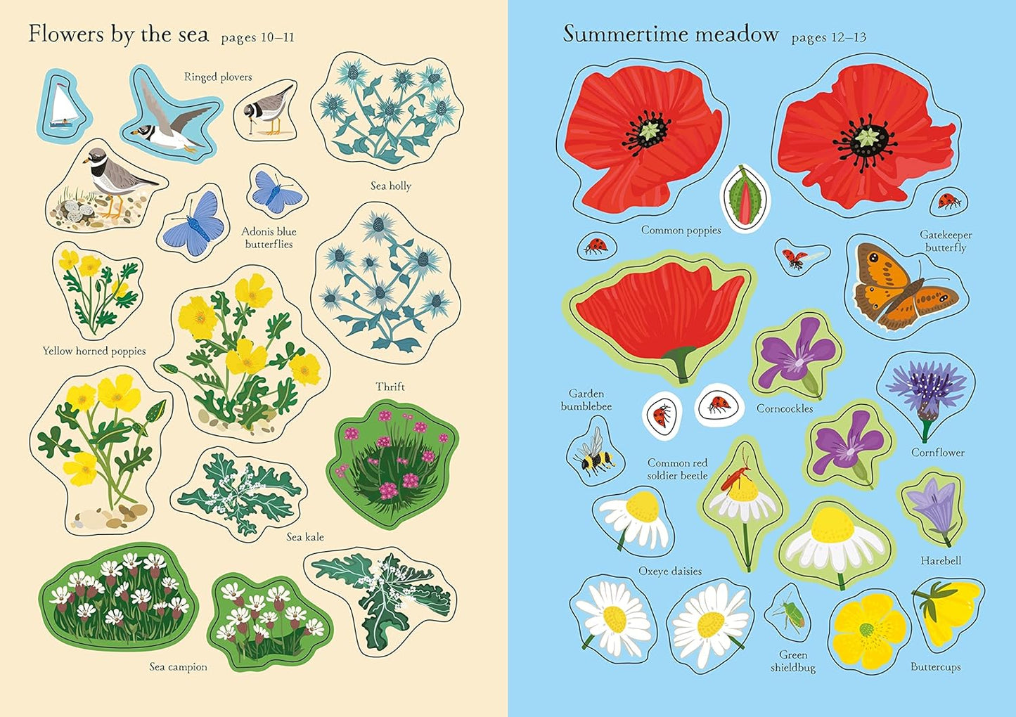 Little First Stickers Wildflowers