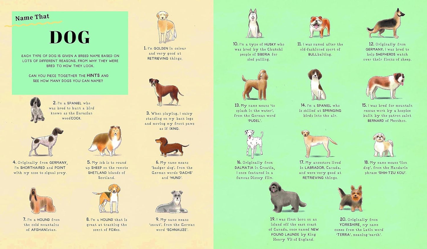 Name That Thing: Stretch your Brain Power with 20 Picture Quizzes