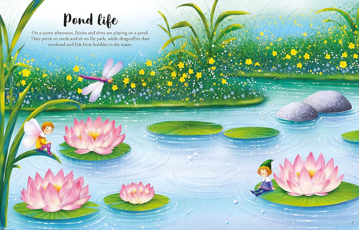 Fairies, Pixies And Elves Sticker Book