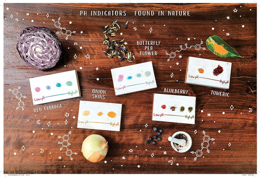 The Science Spell Book - Magical Experiments for Kids