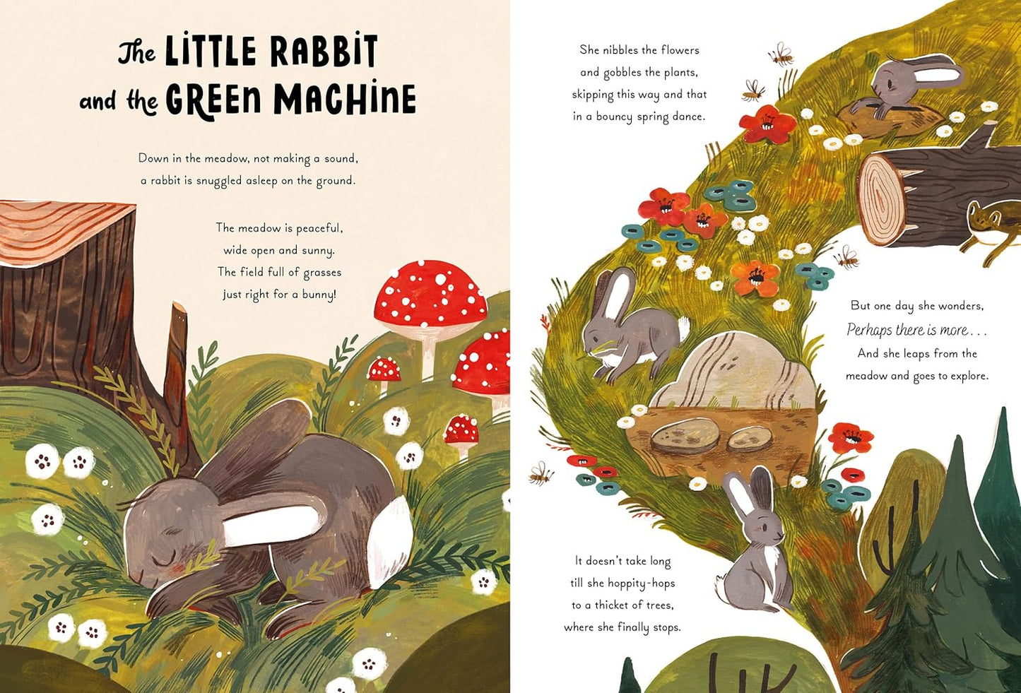 5 Minute Nature Stories