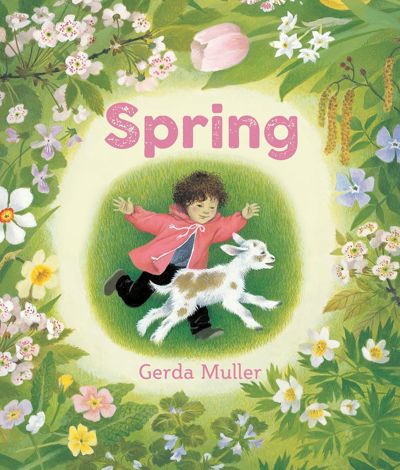 Spring Board book