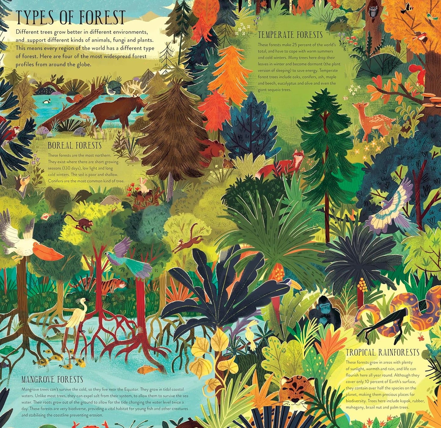 Make and Play: Build A Tree: Build a 12-inch Oak Tree! Includes a 32-page Book and 40+ Model Pieces