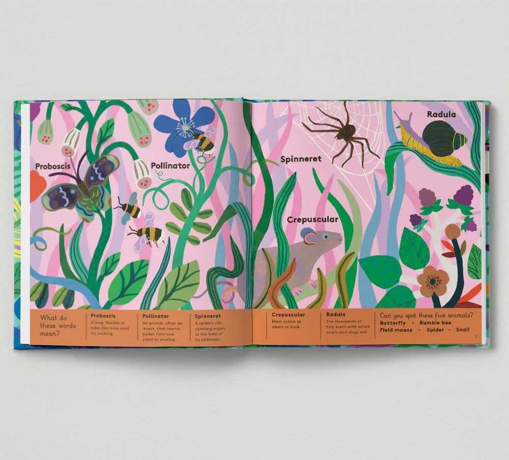 Little Word Whiz: AnimalL Words for Little Zoologists