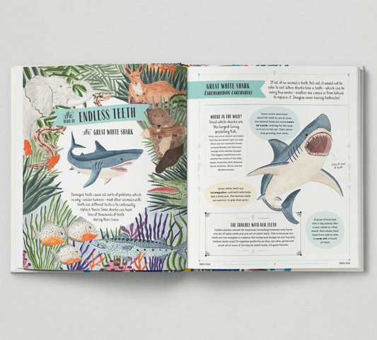 Wild - A Family Guide to the Animal Kingdom