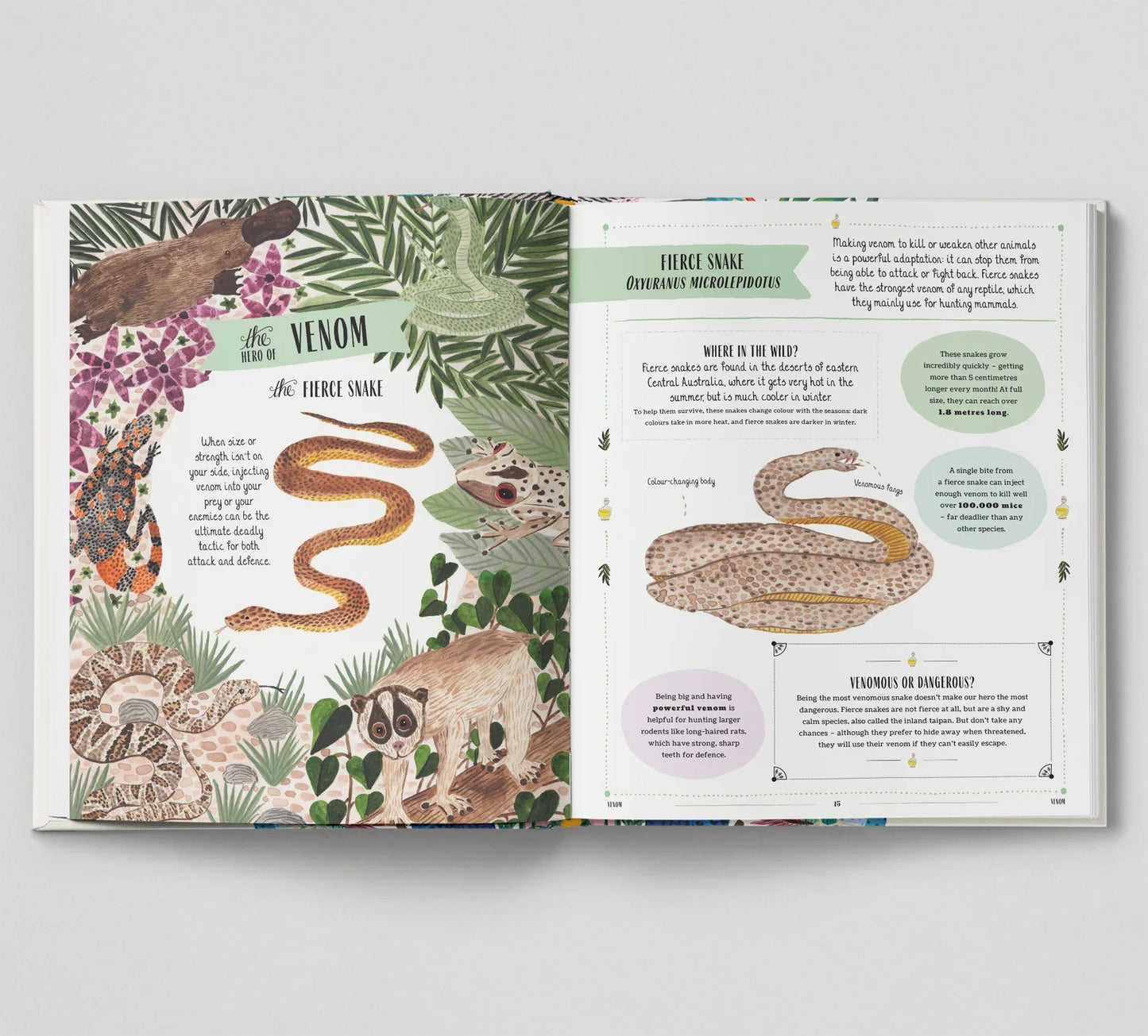Wild - A Family Guide to the Animal Kingdom