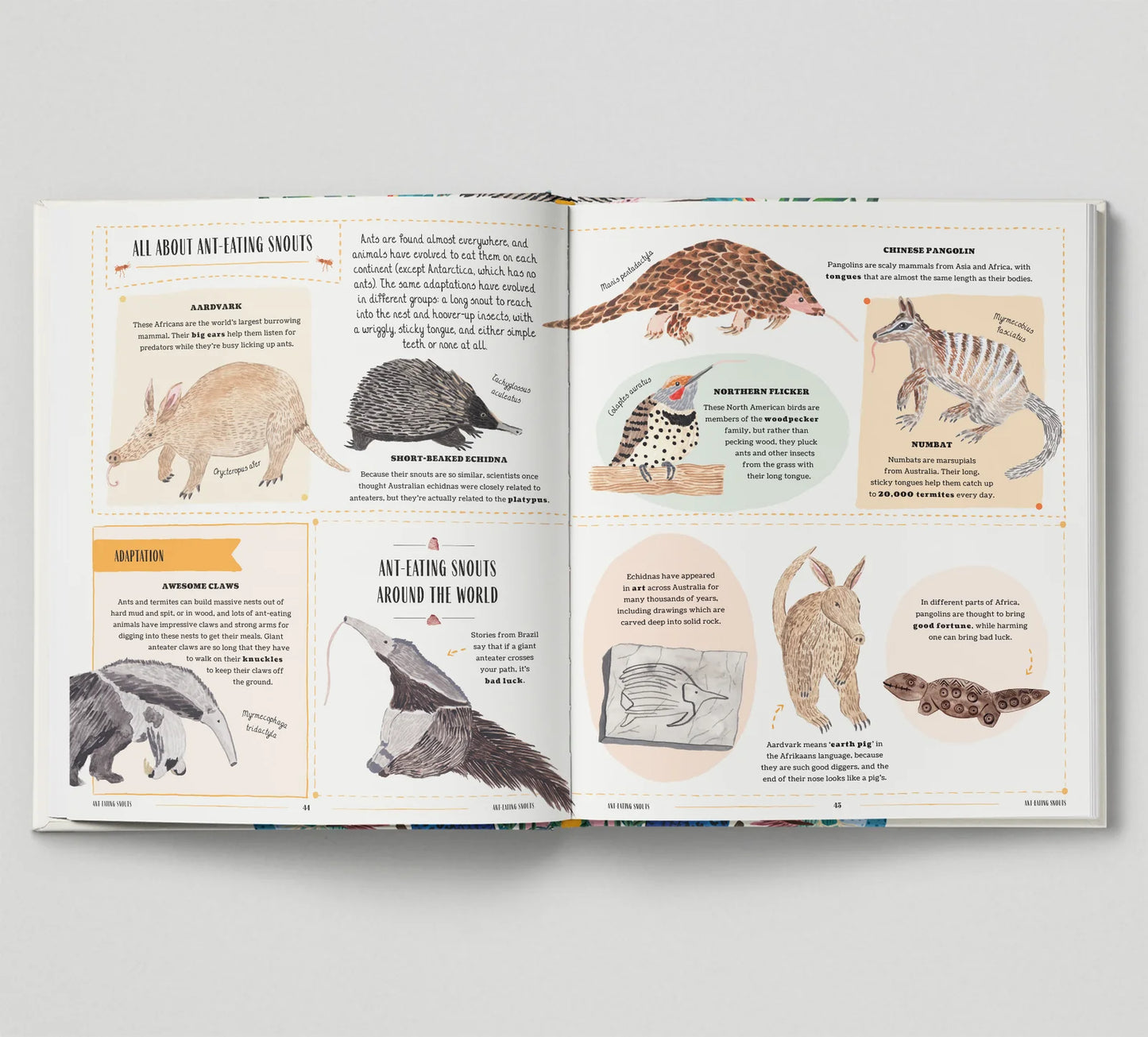 Wild - A Family Guide to the Animal Kingdom