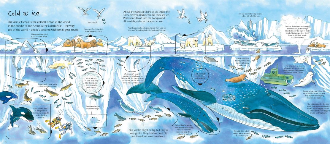 See Under The Sea