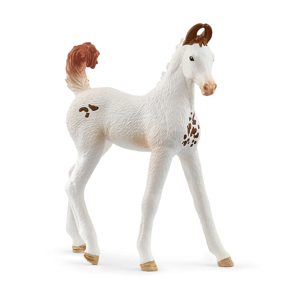 Schleich - Marwari Foal