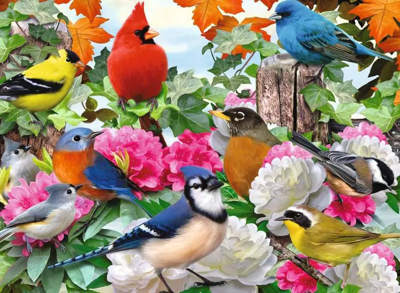 Garden Birds- 500 pcs