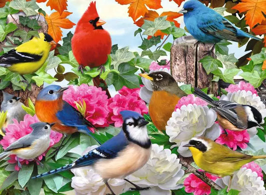 Garden Birds- 500 pcs