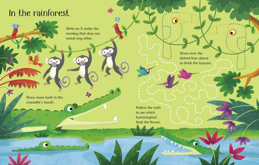 Wipe-Clean Animal Activities