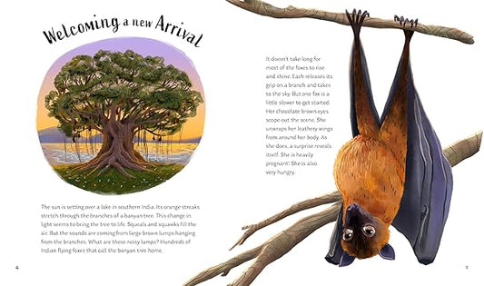 Secrets of the Stars: 15 Bedtime Stories Inspired by Nature