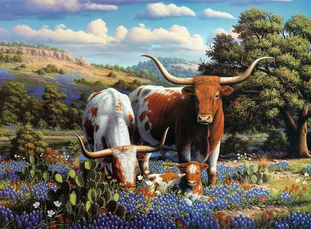 Loving Longhorns - 500 Pieces