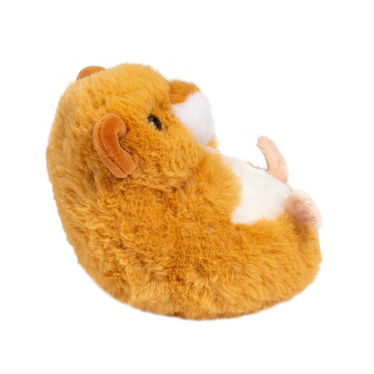 Lil Baby Hamster