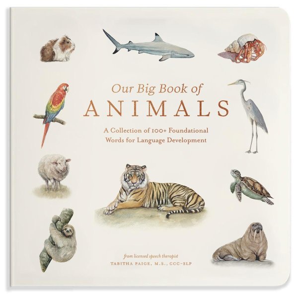Our Big Book of Animals First 100 Animal Words for Language Development