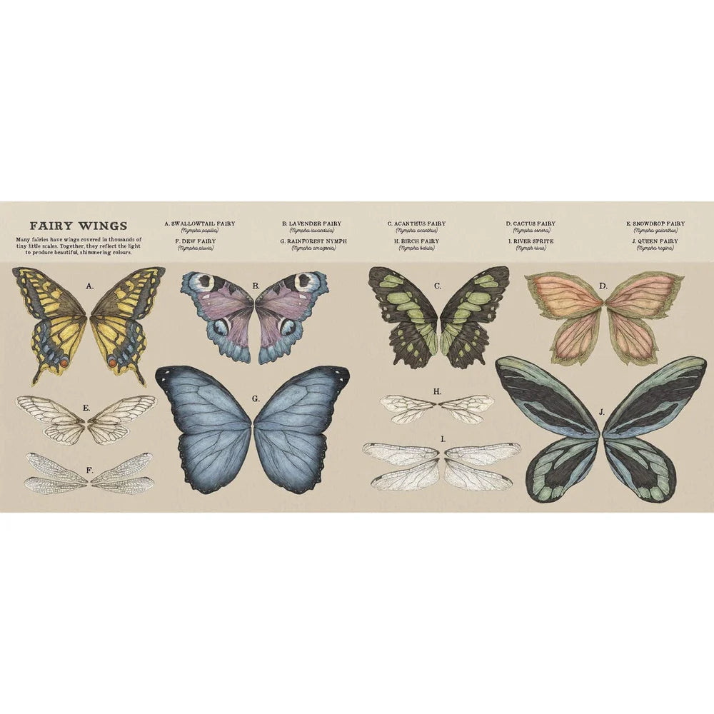 A Natural History of Fairies