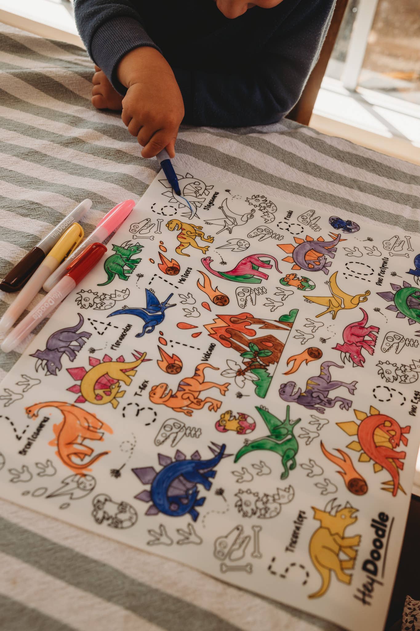 DinoRoar Classic Coloring & Doodle Mat