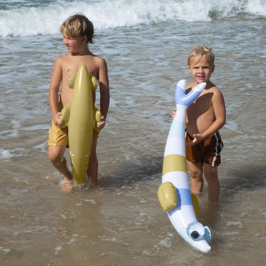 Kids Inflatable Noodle Finn the Fish Multi Set of 2