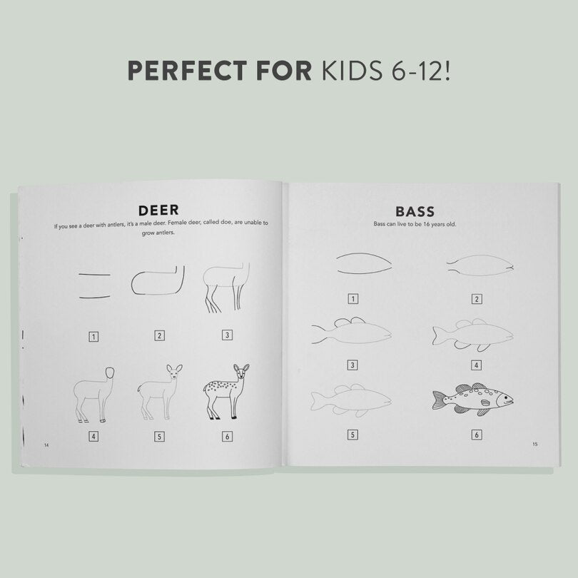 How to Draw Woodland Creatures for Kids