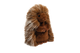 Prickle Porcupine