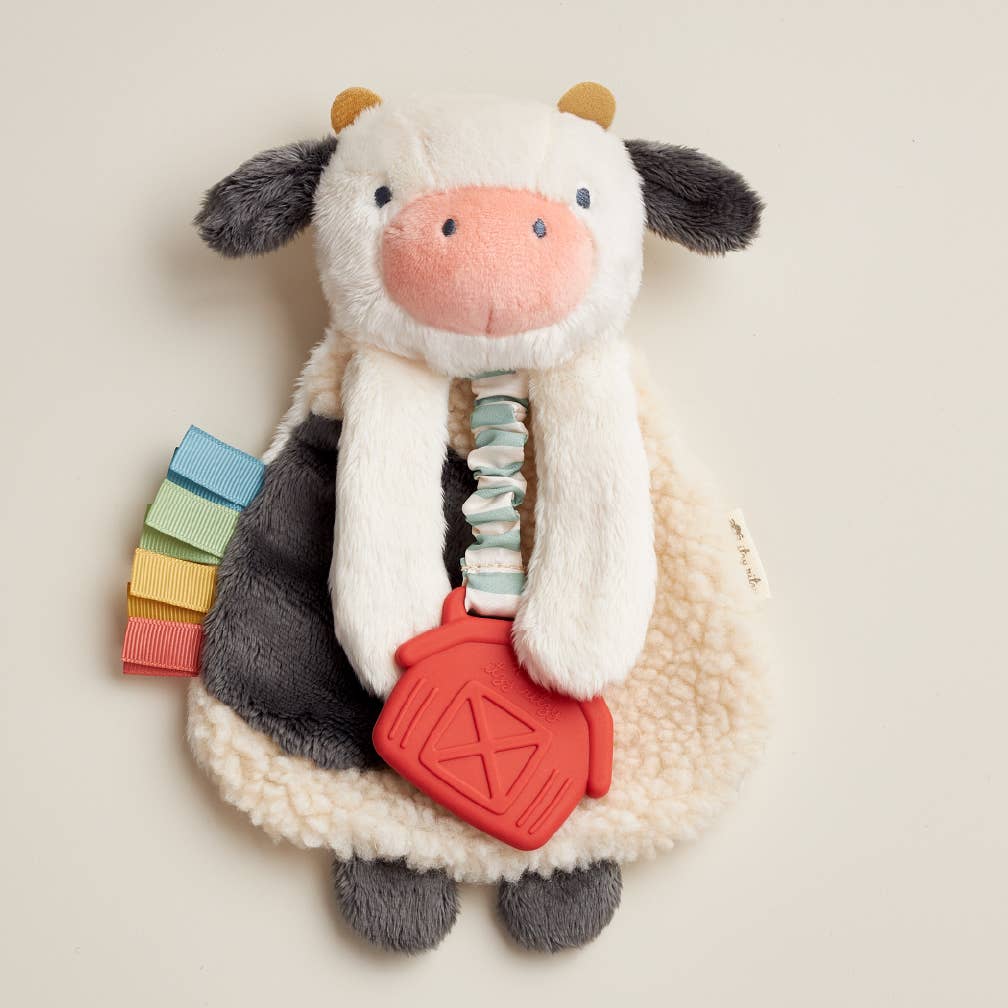 Itzy Friends Lovey™ Plush