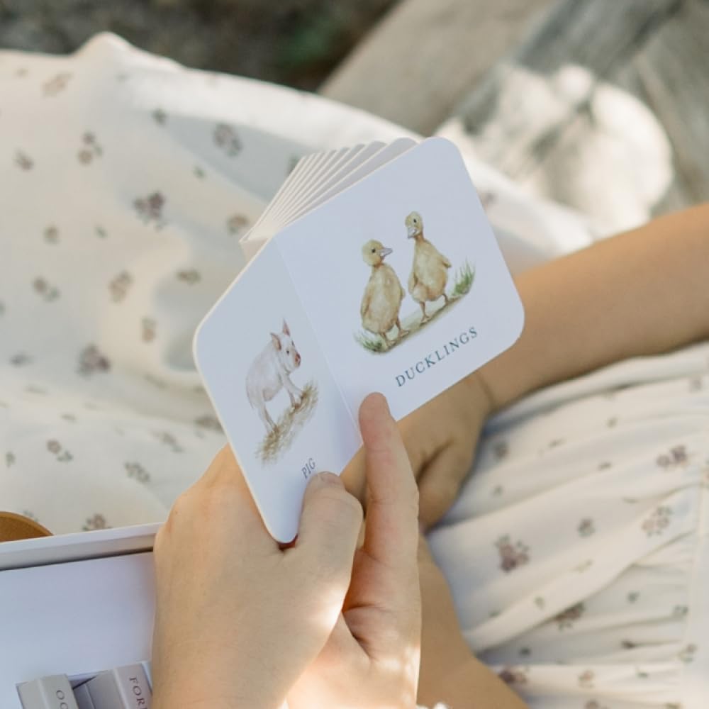 Our Very Little Library Board Book Set-A Foundational Language Vocabulary Board Book Set for Babies
