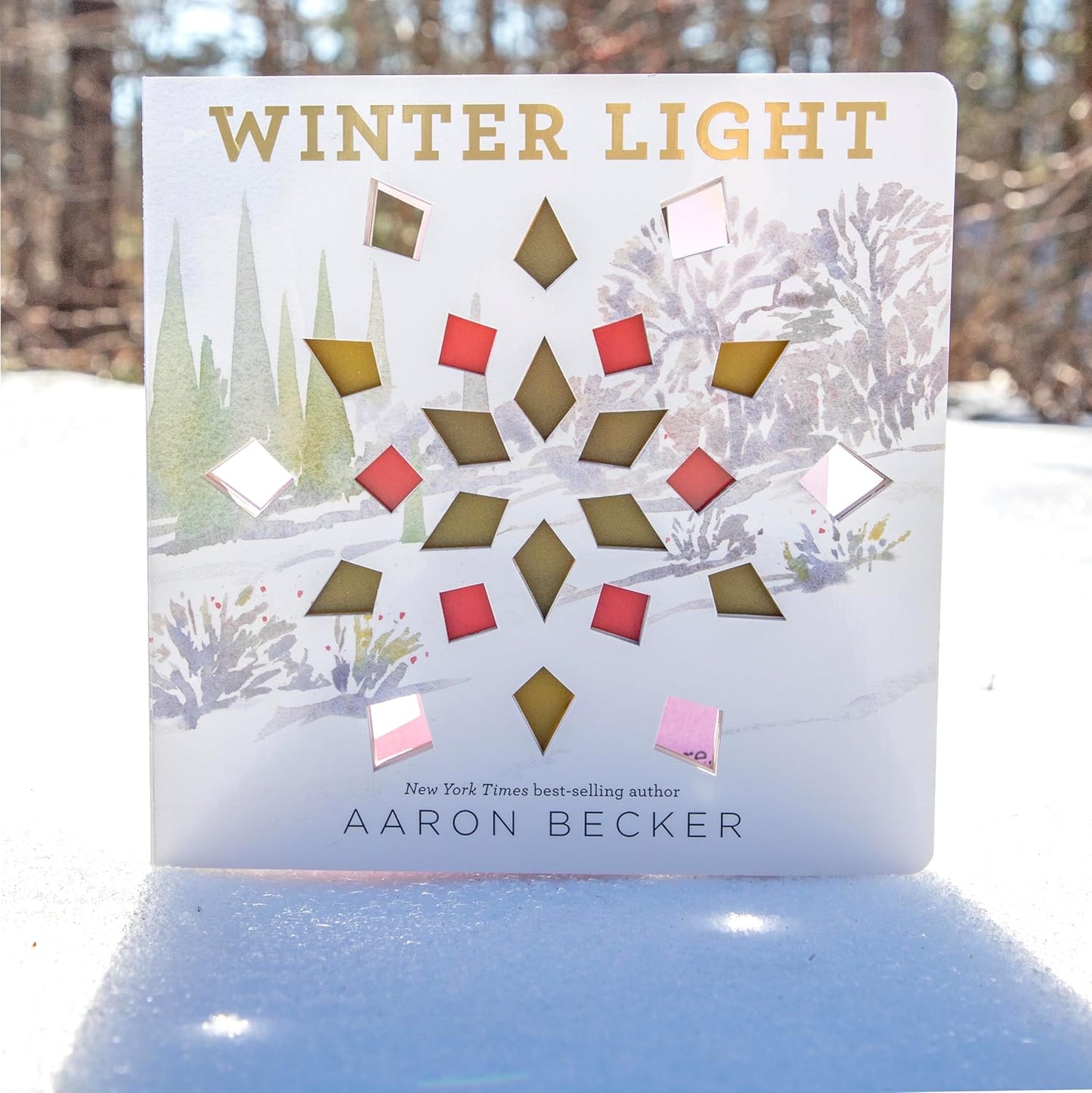 Winter Light - Aaron Becker