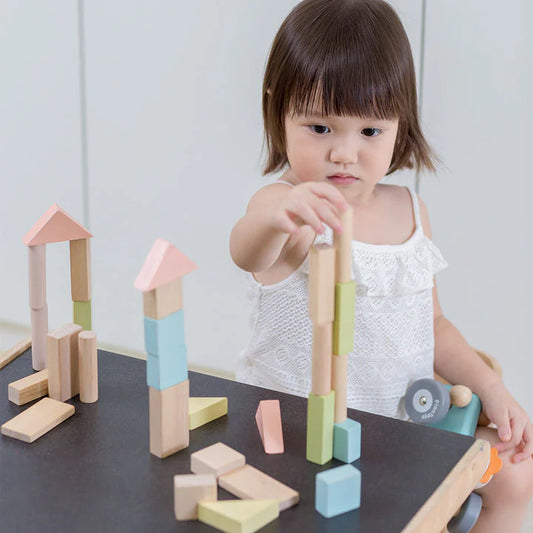 40 Unit Blocks - Pastel