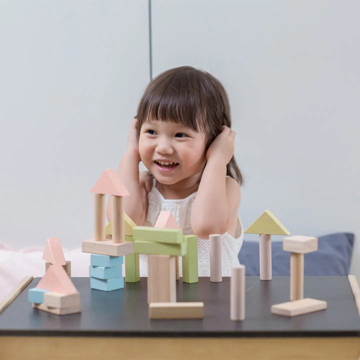 40 Unit Blocks - Pastel