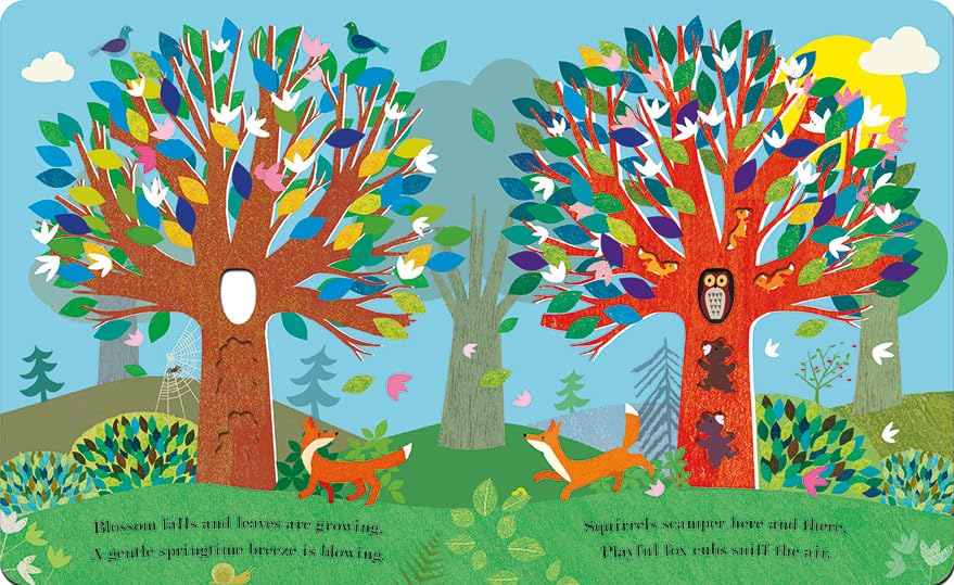 Tree - A Peek-Through Board Book